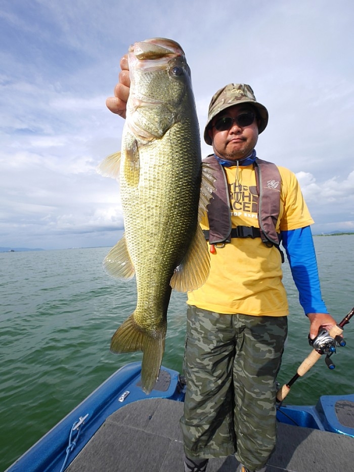 truth  ブログ写真 2017/07/14