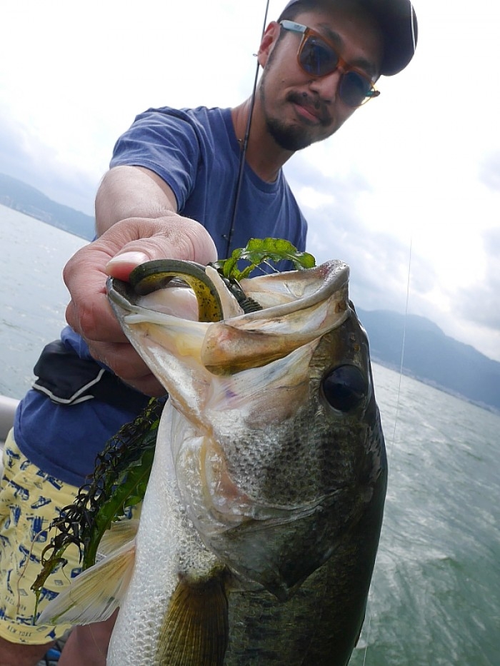 truth ブログ写真 2017/07/18