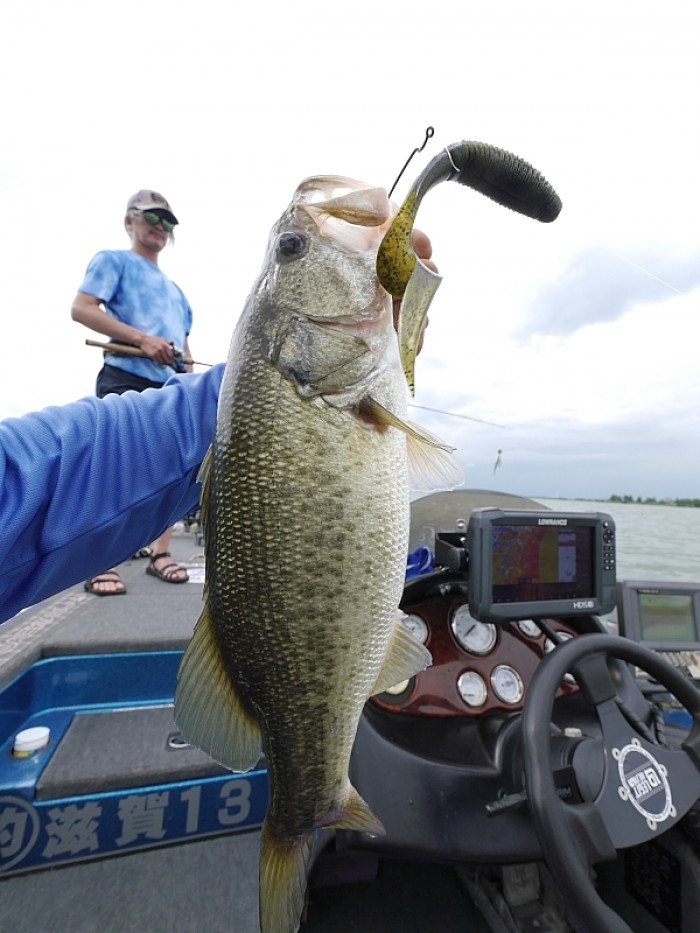 truth ブログ写真 2017/07/18