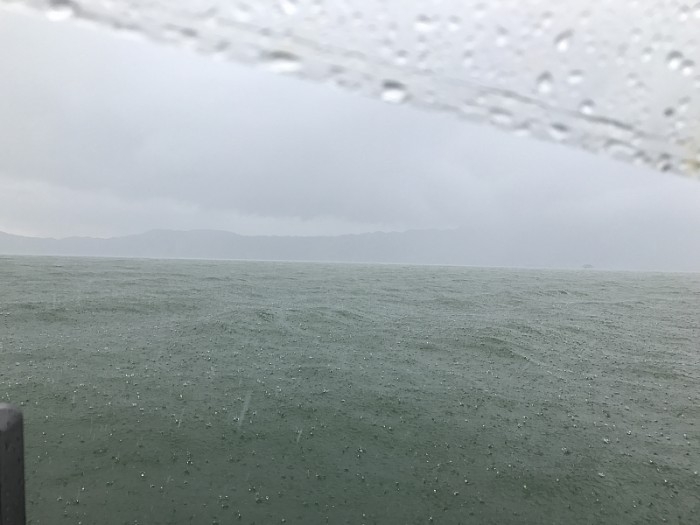 truth ブログ写真 2017/07/18