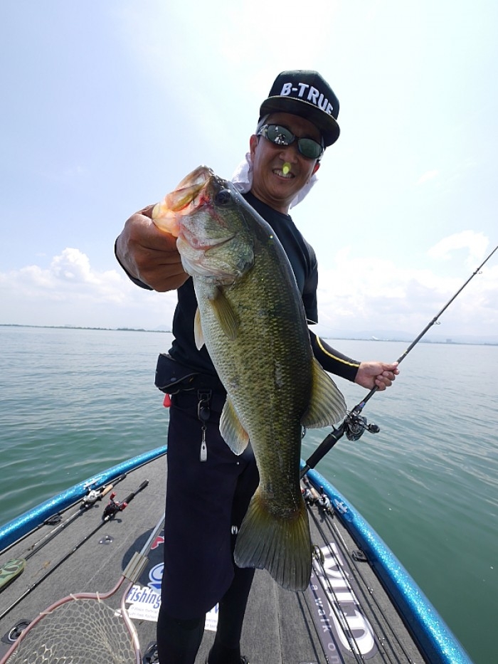 truth ブログ写真 2017/07/19