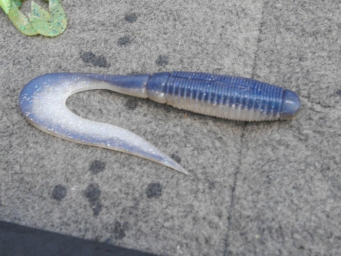 truth ブログ写真 2017/07/19