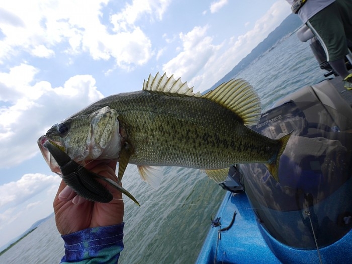 truth ブログ写真 2017/07/21