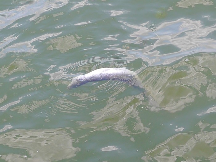 truth ブログ写真 2017/07/21