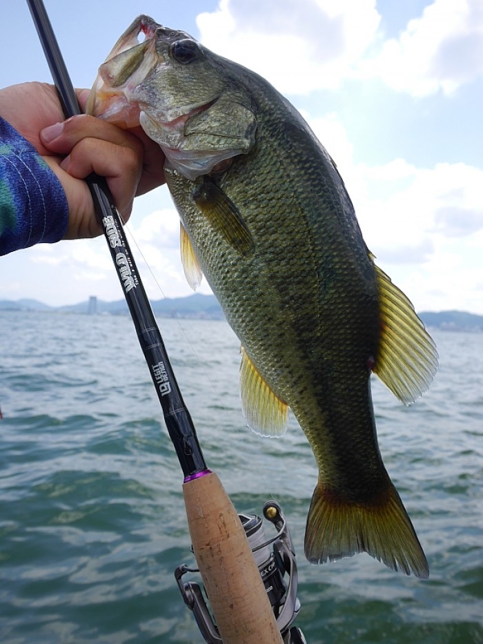 truth ブログ写真 2017/07/21