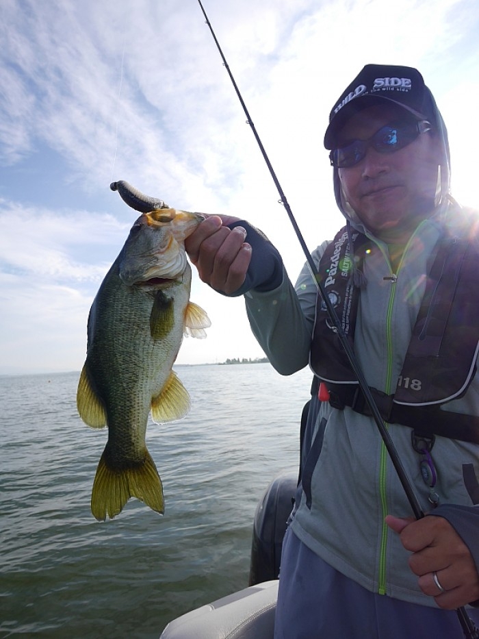 truth ブログ写真 2017/07/22