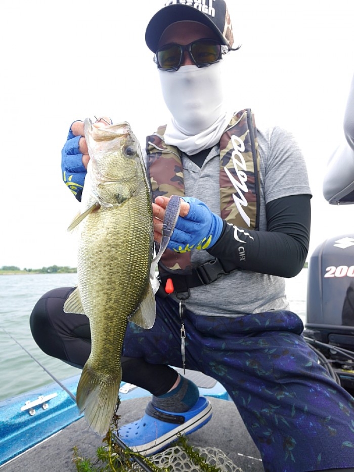 truth ブログ写真 2017/07/25