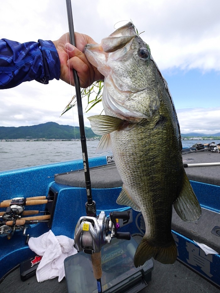 truth ブログ写真 2017/07/26