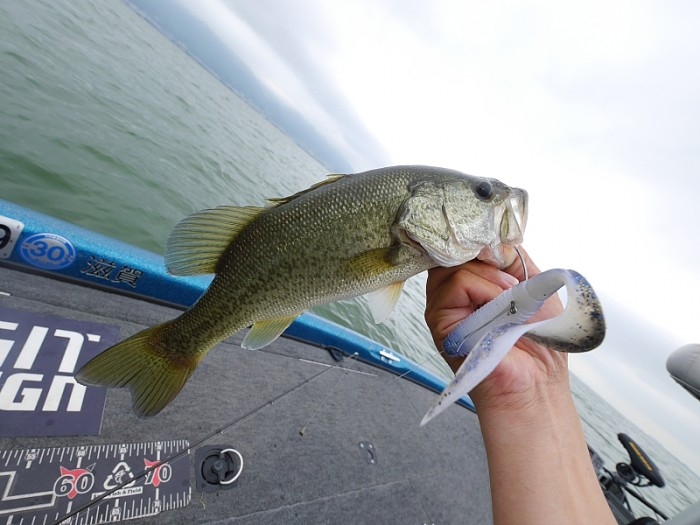 truth ブログ写真 2017/07/26