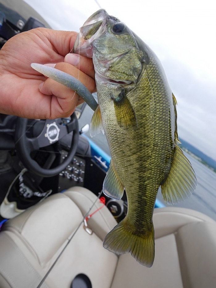 truth ブログ写真 2017/07/28