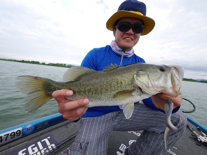 truth ブログ写真 2017/07/28