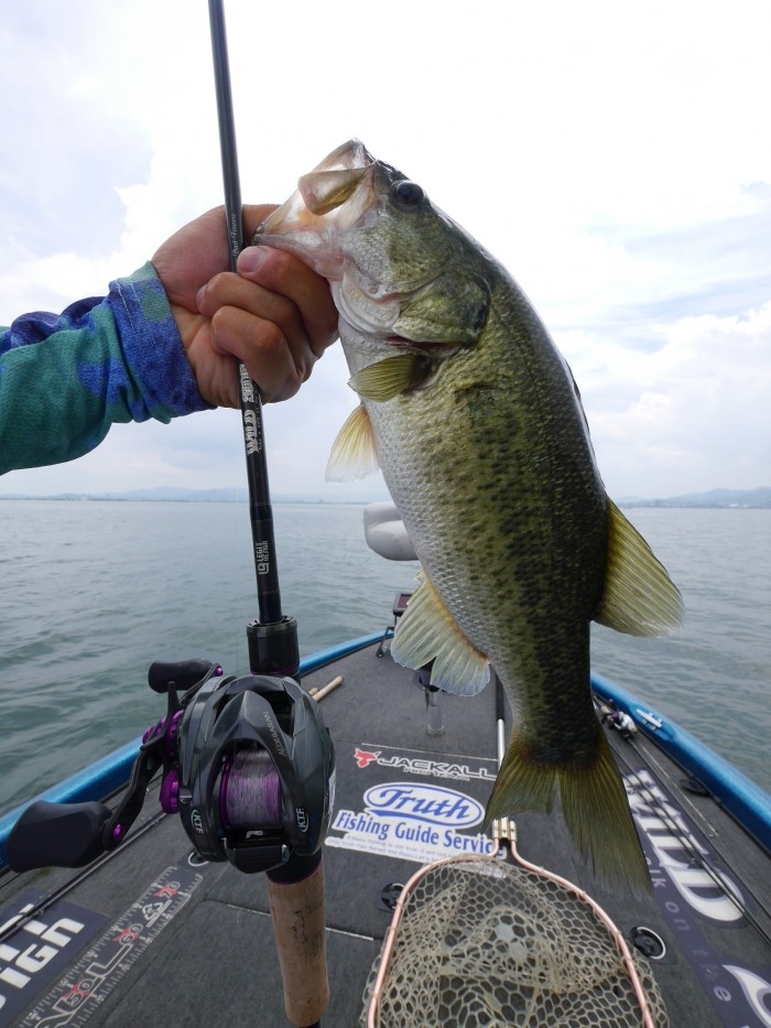 truth  ブログ写真 2017/08/01