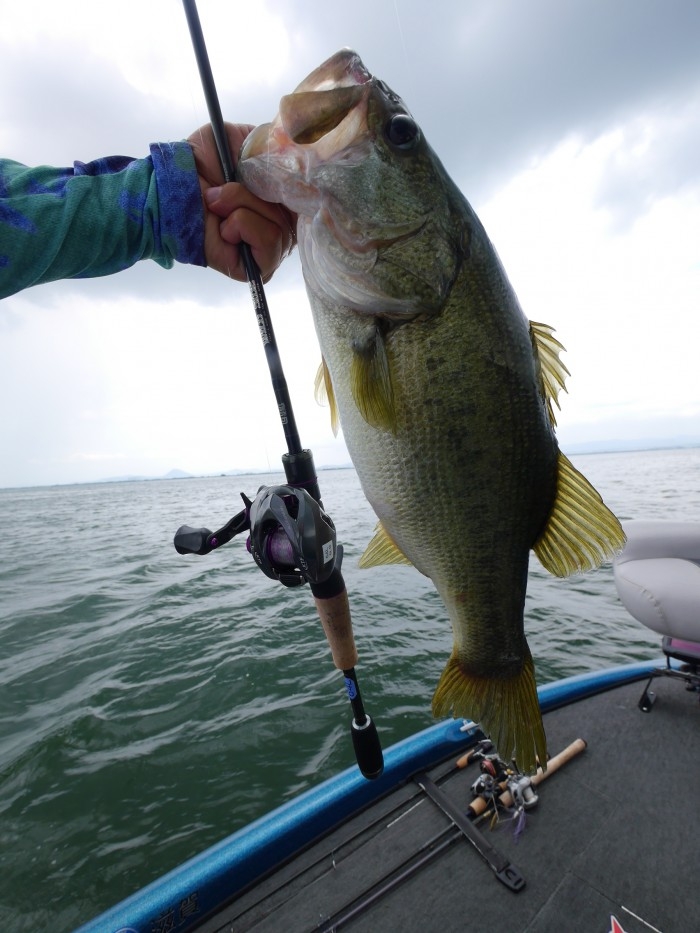 truth  ブログ写真 2017/08/01