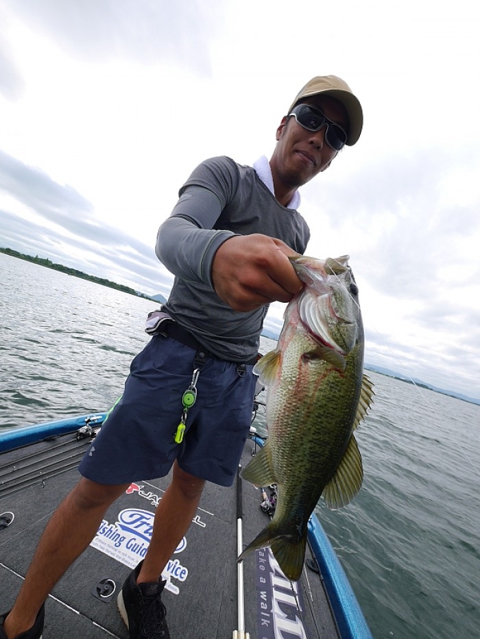 truth  ブログ写真 2017/08/04