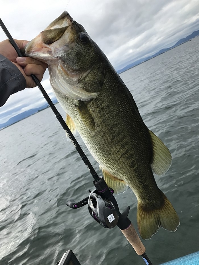 truth  ブログ写真 2017/08/04