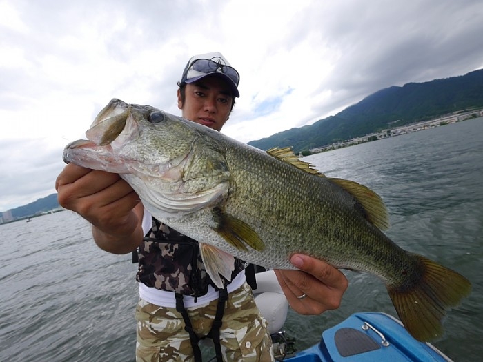 truth  ブログ写真 2017/08/04