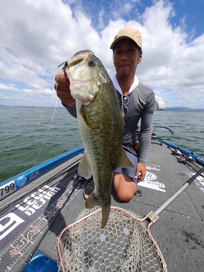 truth  ブログ写真 2017/08/04