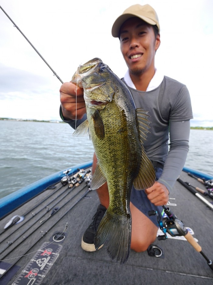 truth  ブログ写真 2017/08/04