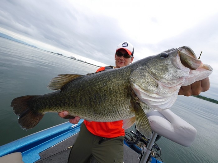 truth  ブログ写真 2017/08/05