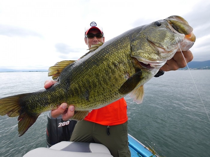 truth  ブログ写真 2017/08/05