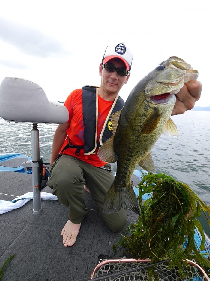 truth  ブログ写真 2017/08/05