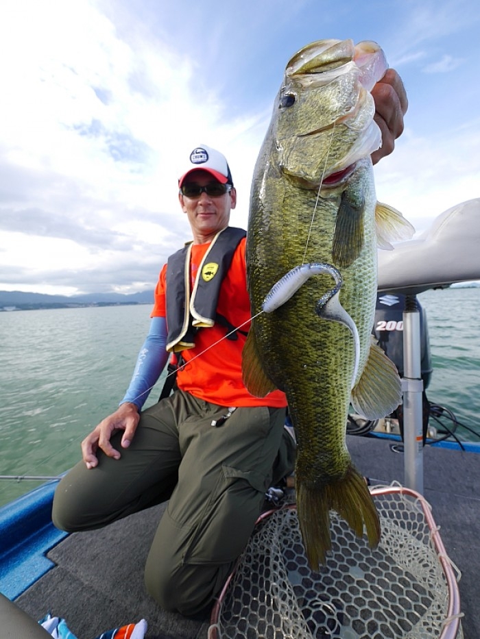 truth  ブログ写真 2017/08/05