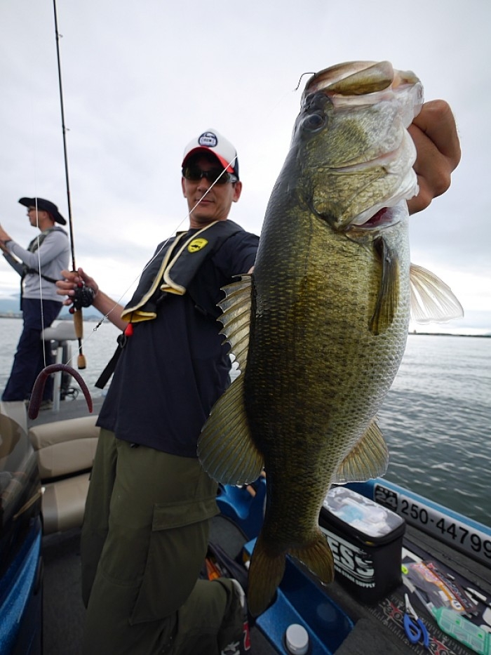 truth  ブログ写真 2017/08/06