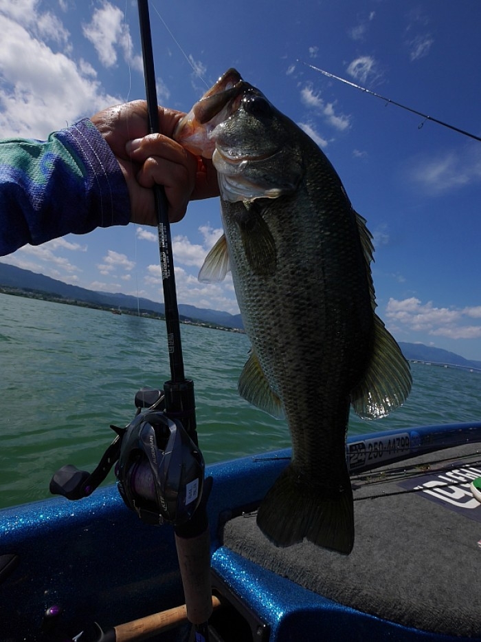 truth  ブログ写真 2017/08/09