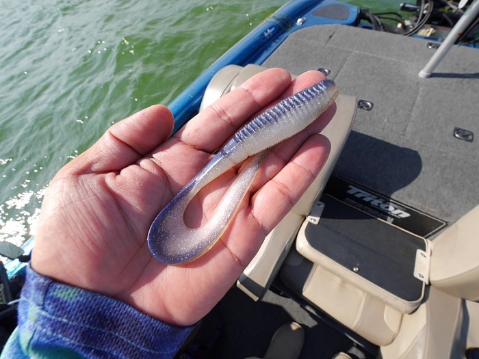 truth  ブログ写真 2017/08/09