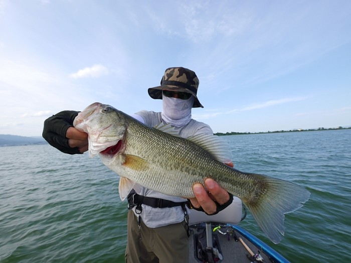 truth  ブログ写真 2017/08/09