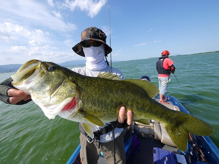 truth  ブログ写真 2017/08/09