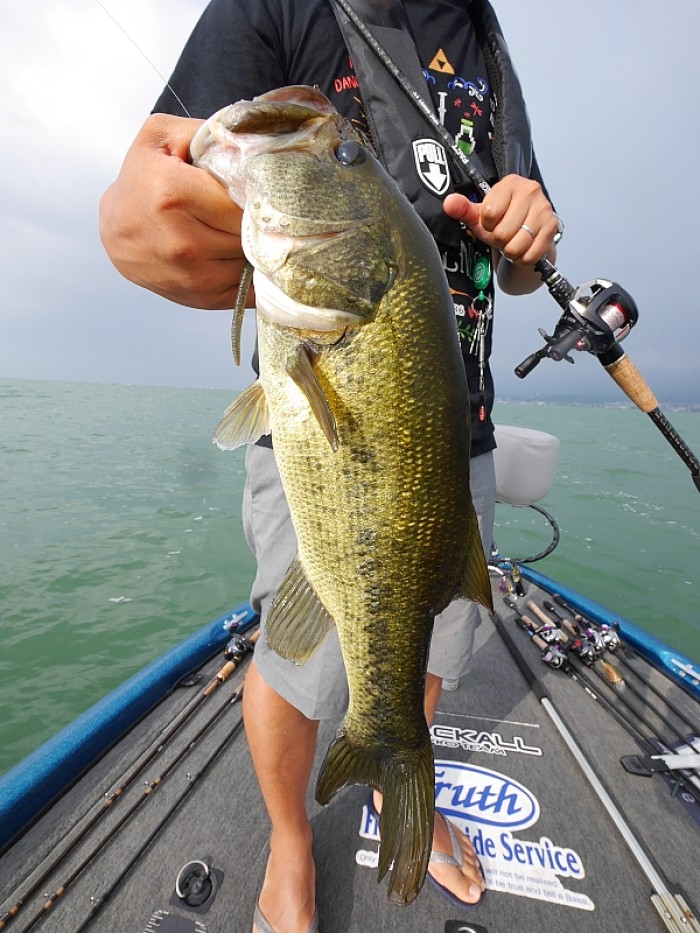 truth  ブログ写真 2017/08/10