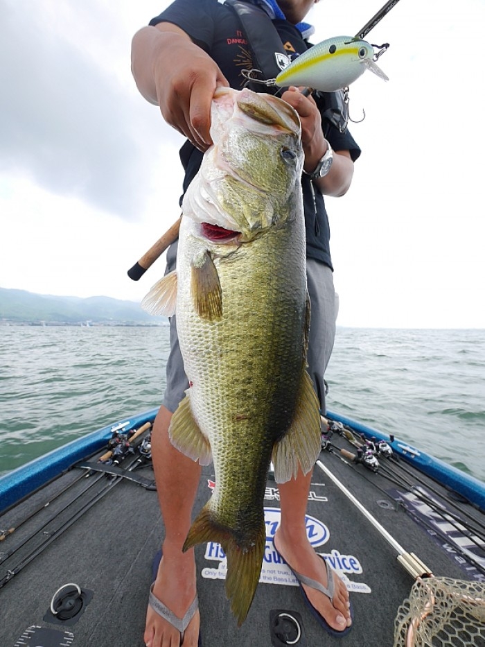 truth  ブログ写真 2017/08/10