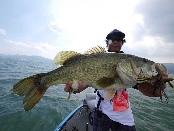 truth  ブログ写真 2017/08/10