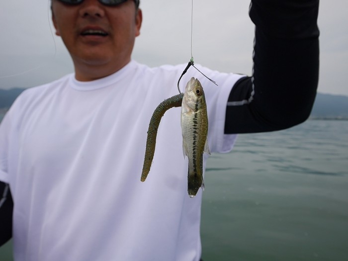 truth  ブログ写真 2017/08/11