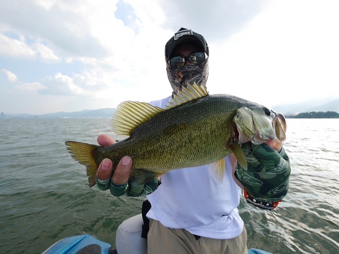 truth  ブログ写真 2017/08/11