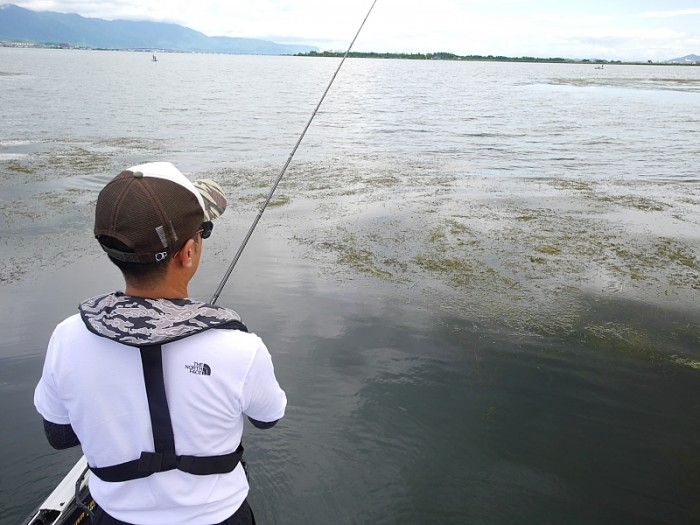 truth ブログ写真 2017/08/13