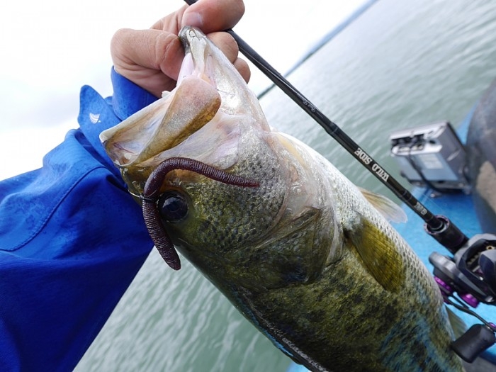 truth ブログ写真 2017/08/13