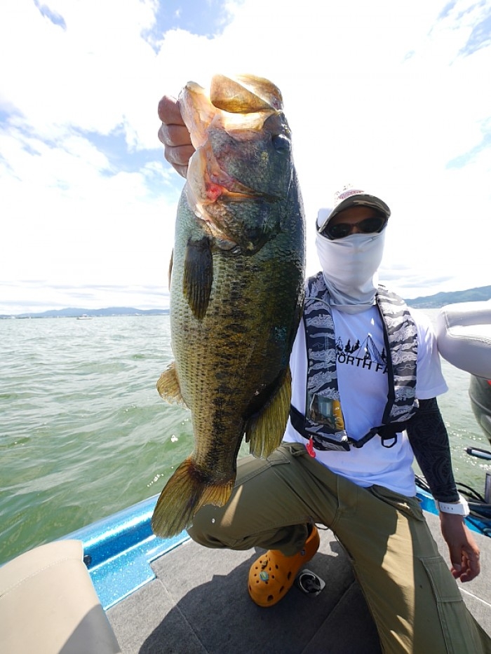 truth ブログ写真 2017/08/13