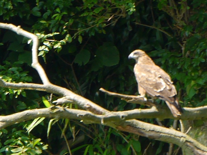 truth ブログ写真 2017/08/19