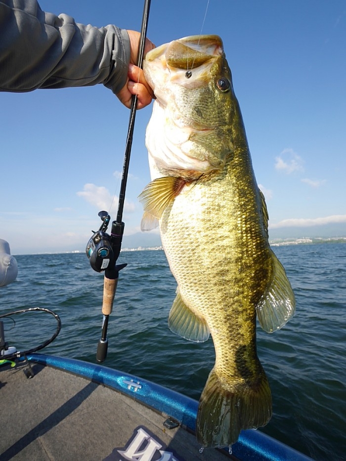 truth  ブログ写真 2017/08/24