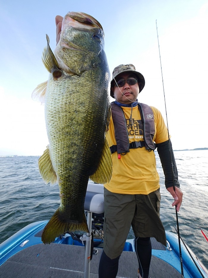 truth  ブログ写真 2017/08/25