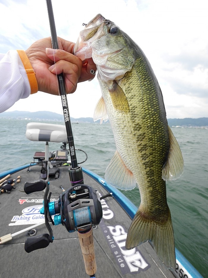 truth  ブログ写真 2017/08/25