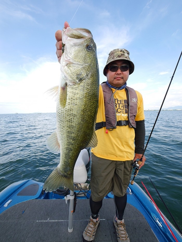 truth  ブログ写真 2017/08/25