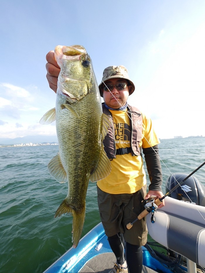 truth  ブログ写真 2017/08/25