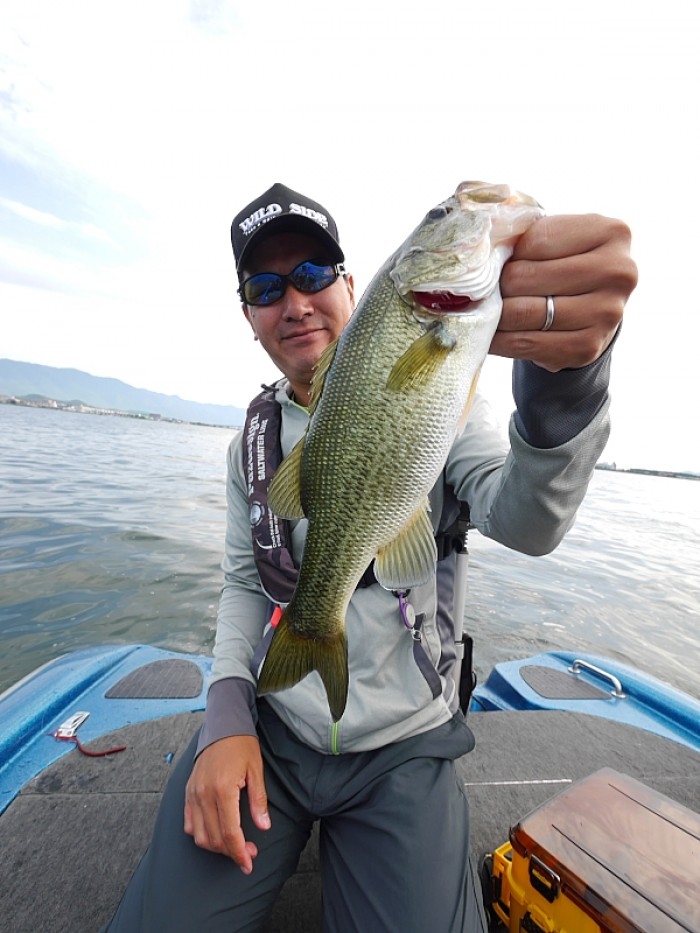 truth  ブログ写真 2017/08/27