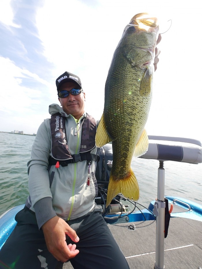 truth  ブログ写真 2017/08/27