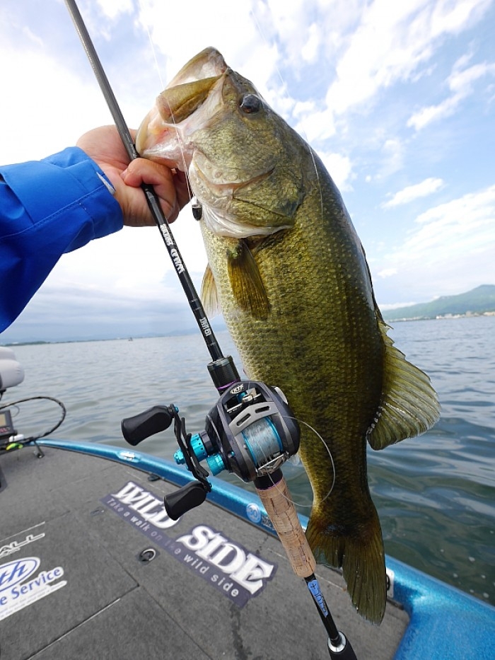 truth  ブログ写真 2017/08/27