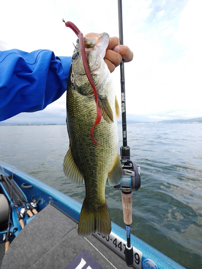 truth  ブログ写真 2017/08/27