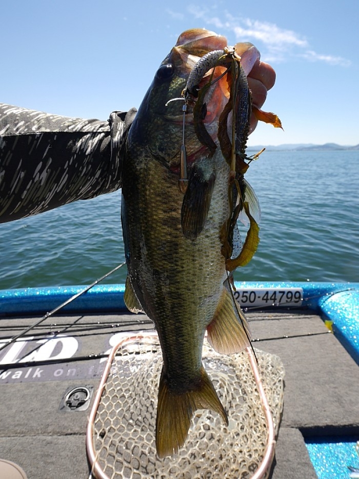 truth ブログ写真 2017/09/01